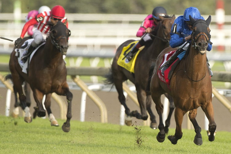 Master of The Seas and William Buick winning the Grade 1 Ricoh Woodbine Mile. (Michael Burns Photo) Master of The Seas and William Buick winning the Grade 1 Ricoh Woodbine Mile. (Michael Burns Photo)