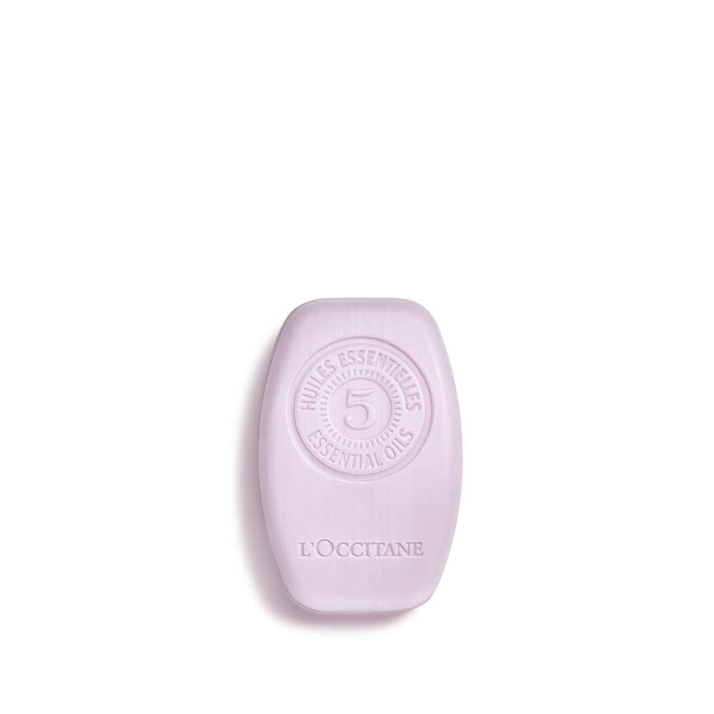 Gentle & Balance Solid Shampoo