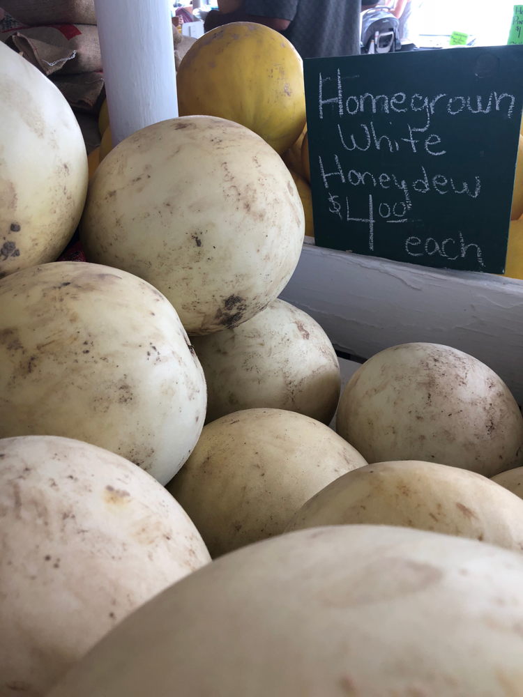 Rocky Ford White Honeydew Melons in a bin at a Rocky Ford farm stand.