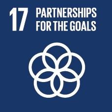 This work aligns with SDG17.