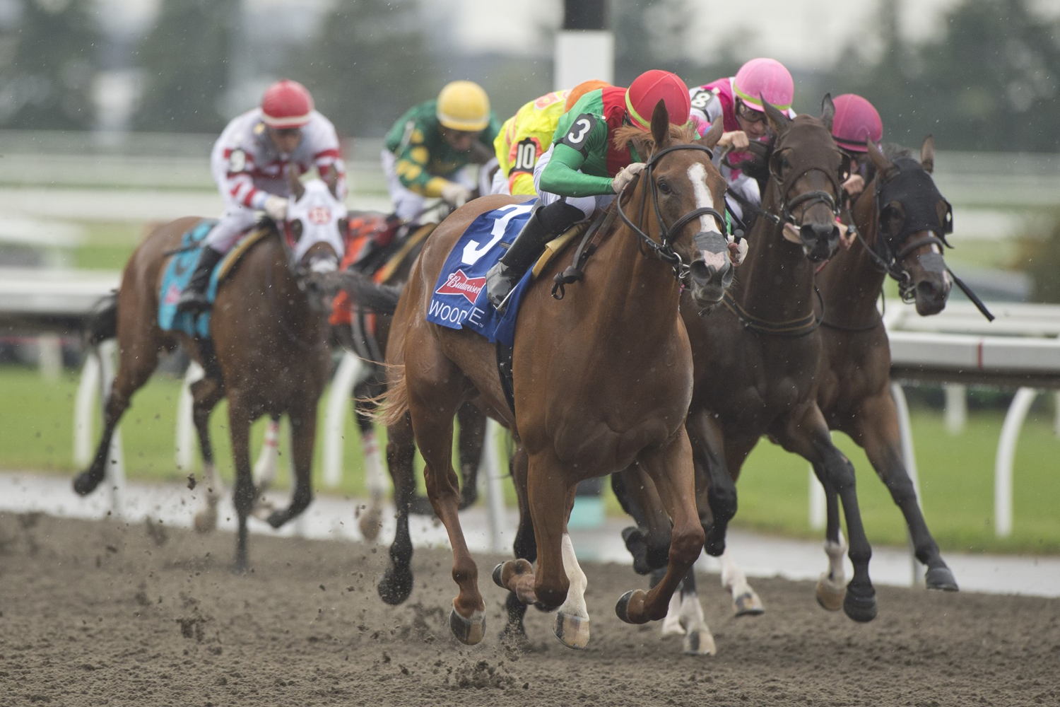 Elysian Field and Sahin Civaci winning the Woodbine Oaks Presented by Budweiser. (Michael Burns Photo)