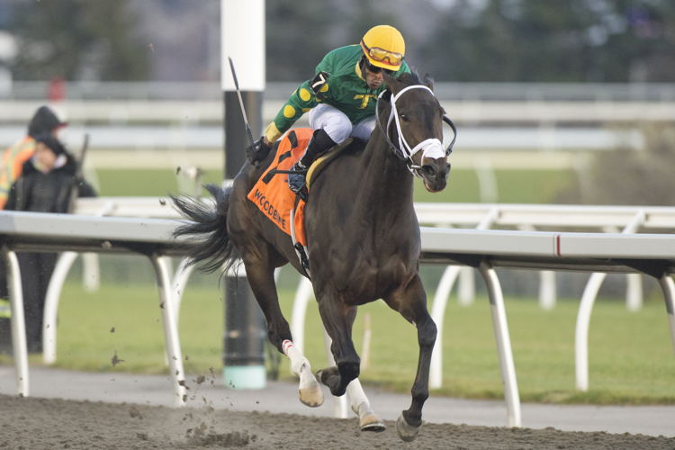 Fashionably Fab and jockey Patrick Husbands winning the Ashbridges Bay Stakes on November 10, 2023 (Michael Burns Photo)