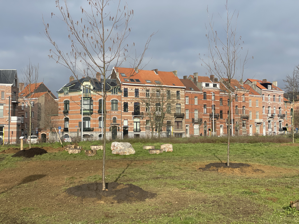Stad plant 55 klimaatbomen op Philipssite