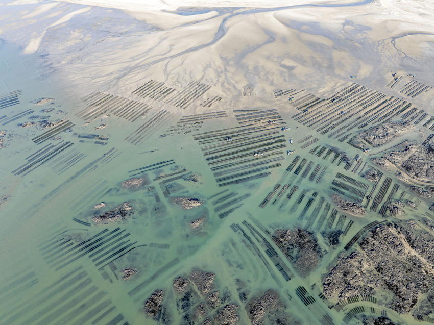 SWPA 2026 -​ ​finali�ci i zdobywcy wyr�nie� ​w konkursie profesjonalnym