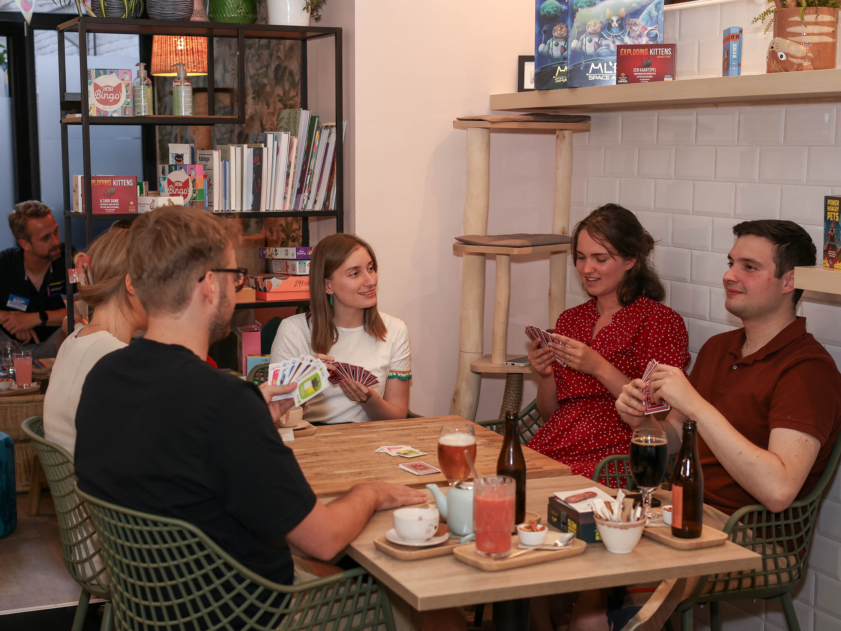 Persbericht- Internationale kattendag op 8 augustus: catlovers spelen kattenspellen in Kattencafé Poescafé in Leuven