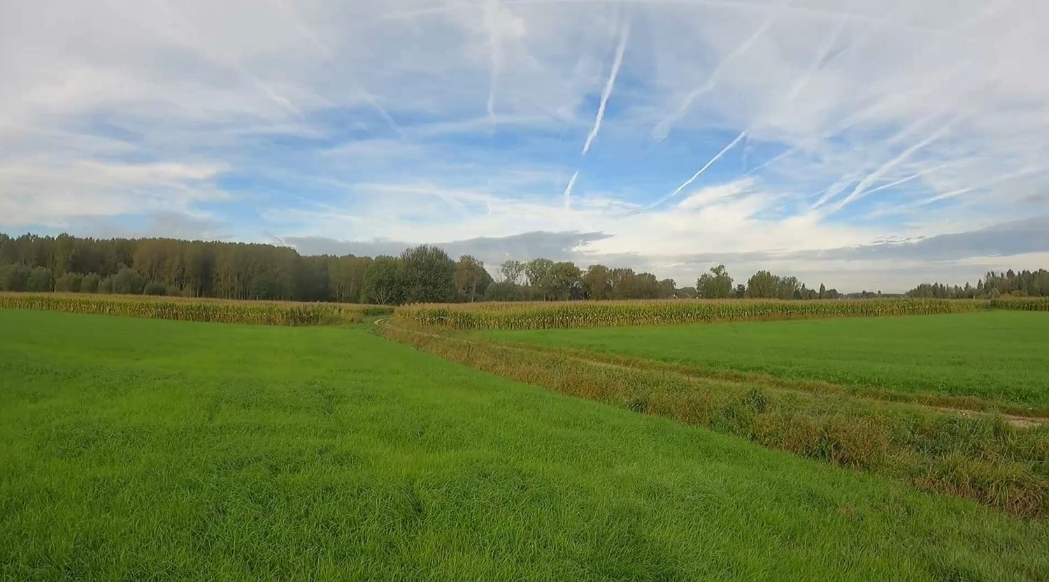 trage weg Lede