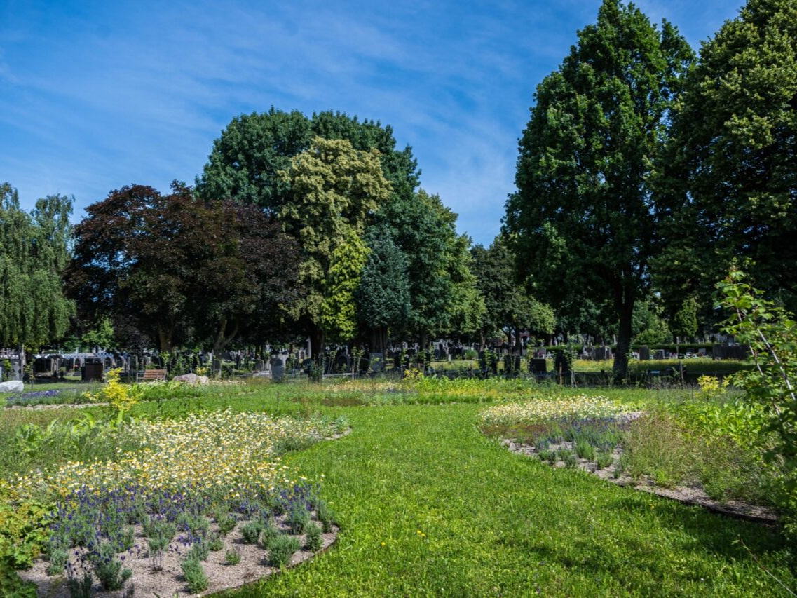Stad Antwerpen opent ‘Tuin van Troost’ op begraafplaats Silsburg