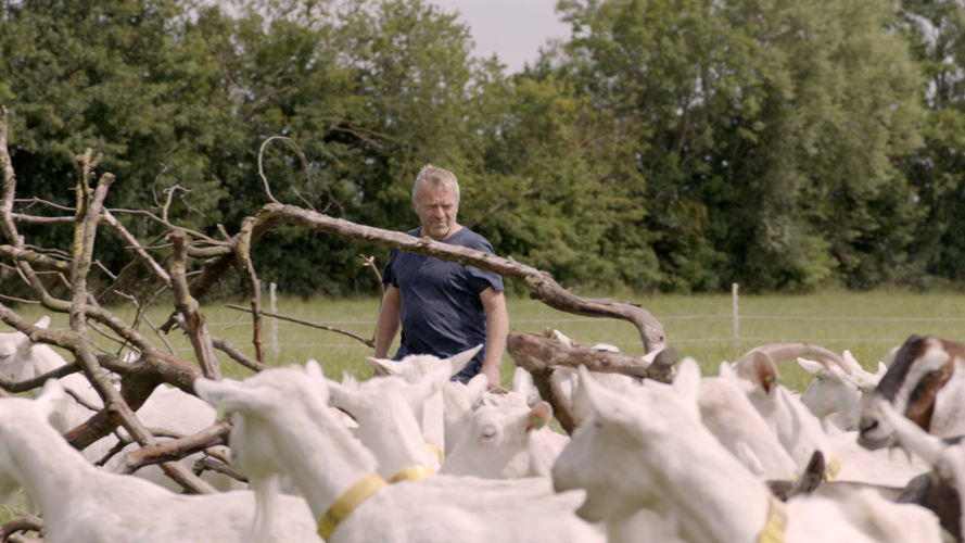 Renaat Devreese – Geitenboer De Haan 