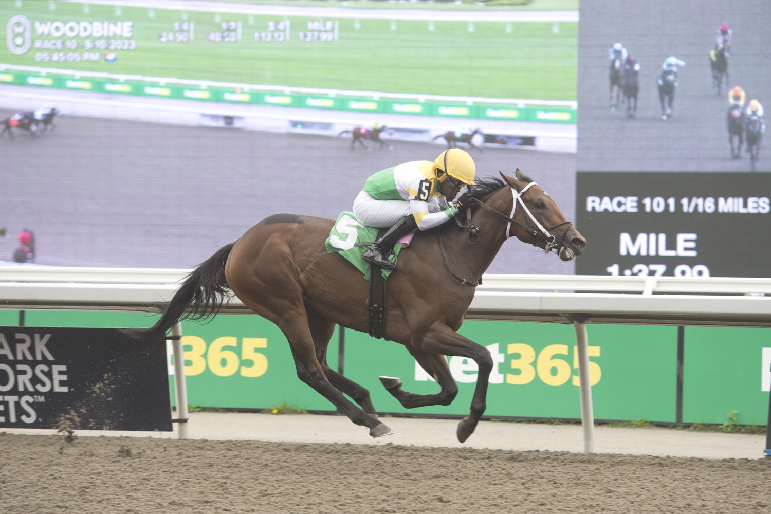 Piper's Factor and jockey Christopher Husbands winning Race 10 on September 10, 2023 at Woodbine (Michael Burns Photo)