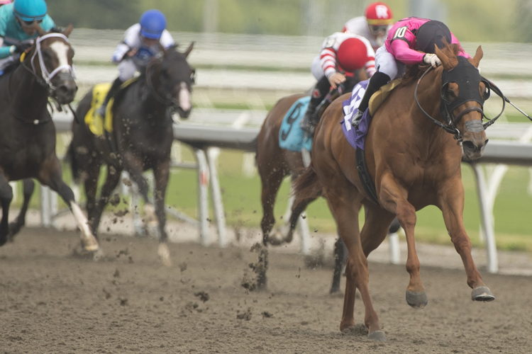 Solo Album and jockey Sahin Civaci winning the Selene Stakes on July 1, 2023 at Woodbine (Michael Burns Photo)
