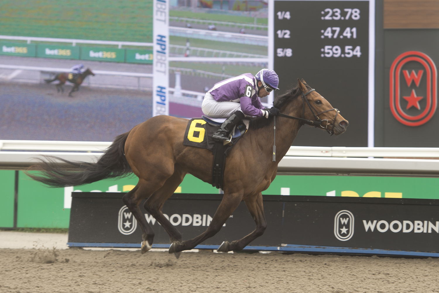 Tabloid Material at Woodbine (Michael Burns Photo)