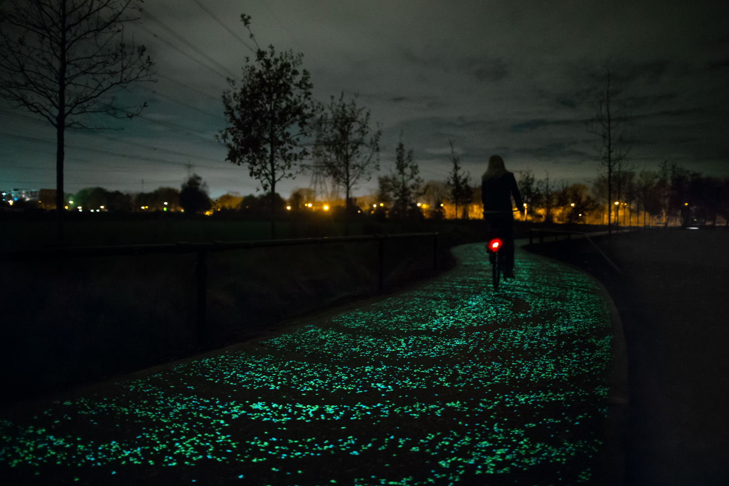 Van Gogh Roosegaarde