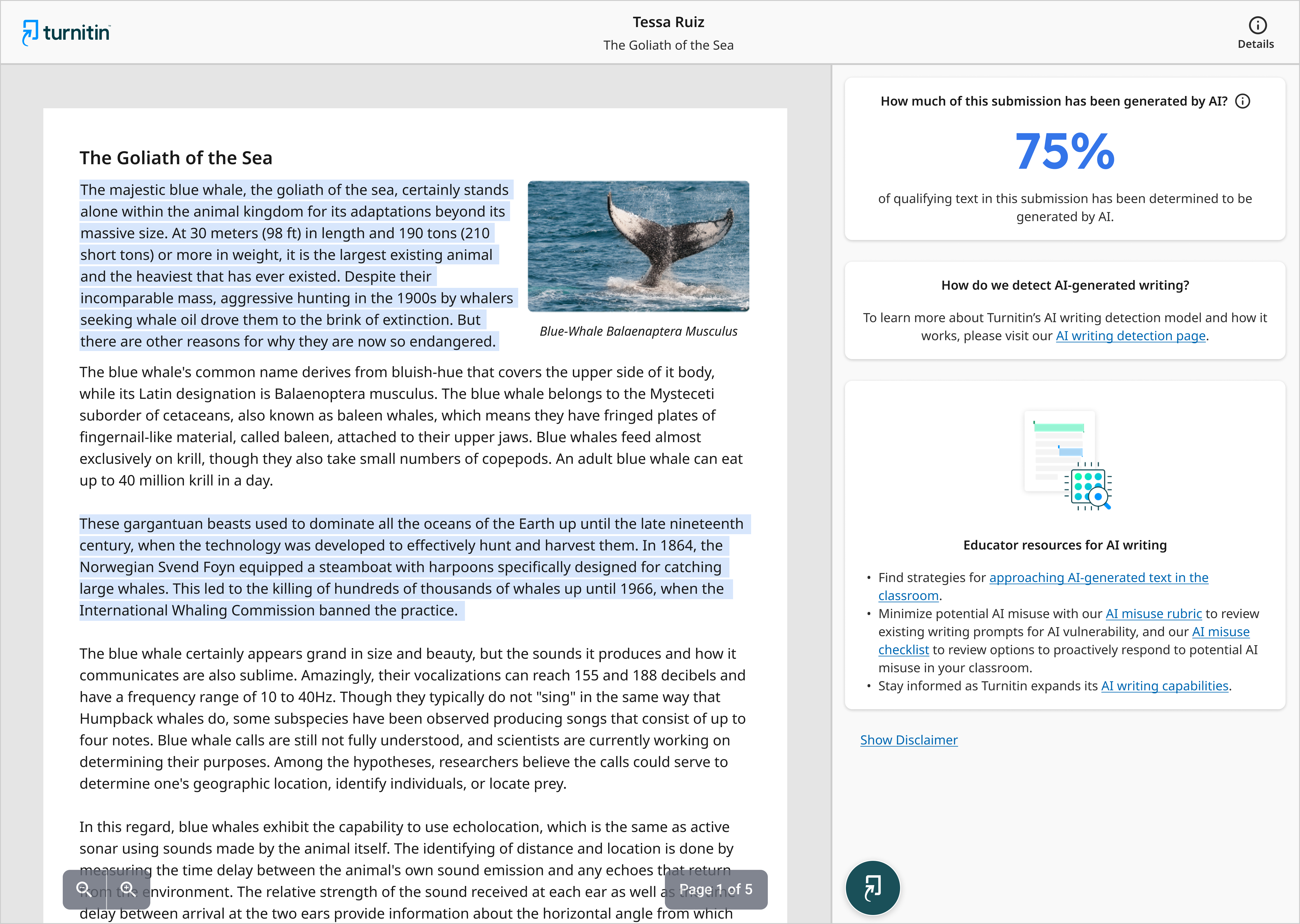 Turnitin AI writing report detail Turnitin AI writing report detail