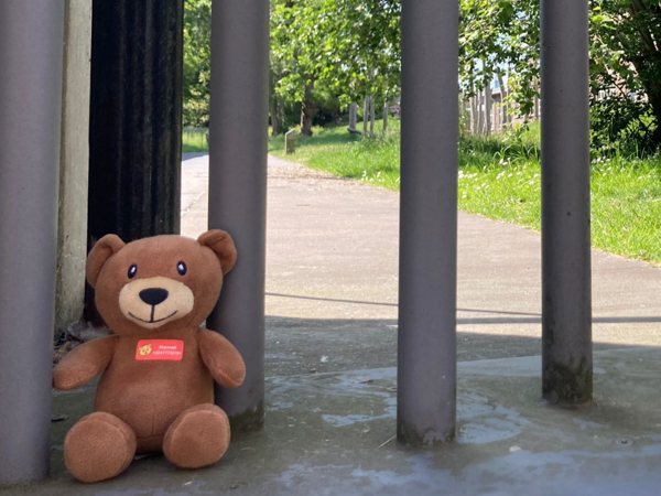 Belgen hebben het hart op de juiste plaats: 1 op 3 brengt een verloren teddybeer terug bij een kind (onderzoek). 