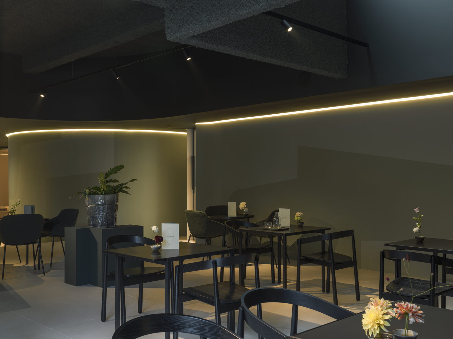 COCON - Café
