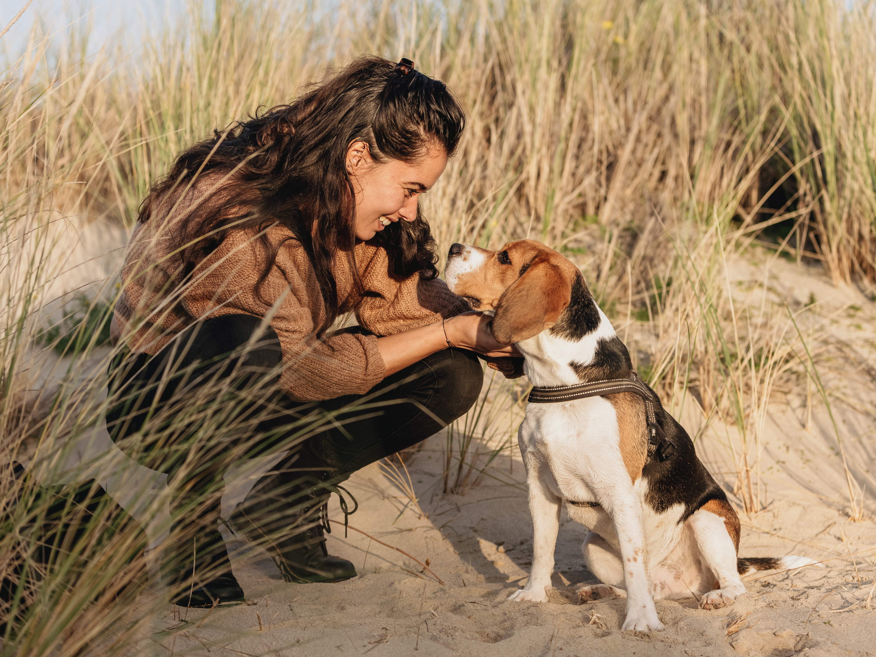 Roompot célèbre la Journée mondiale des animaux avec des aménagements spéciaux pour les animaux de compagnie