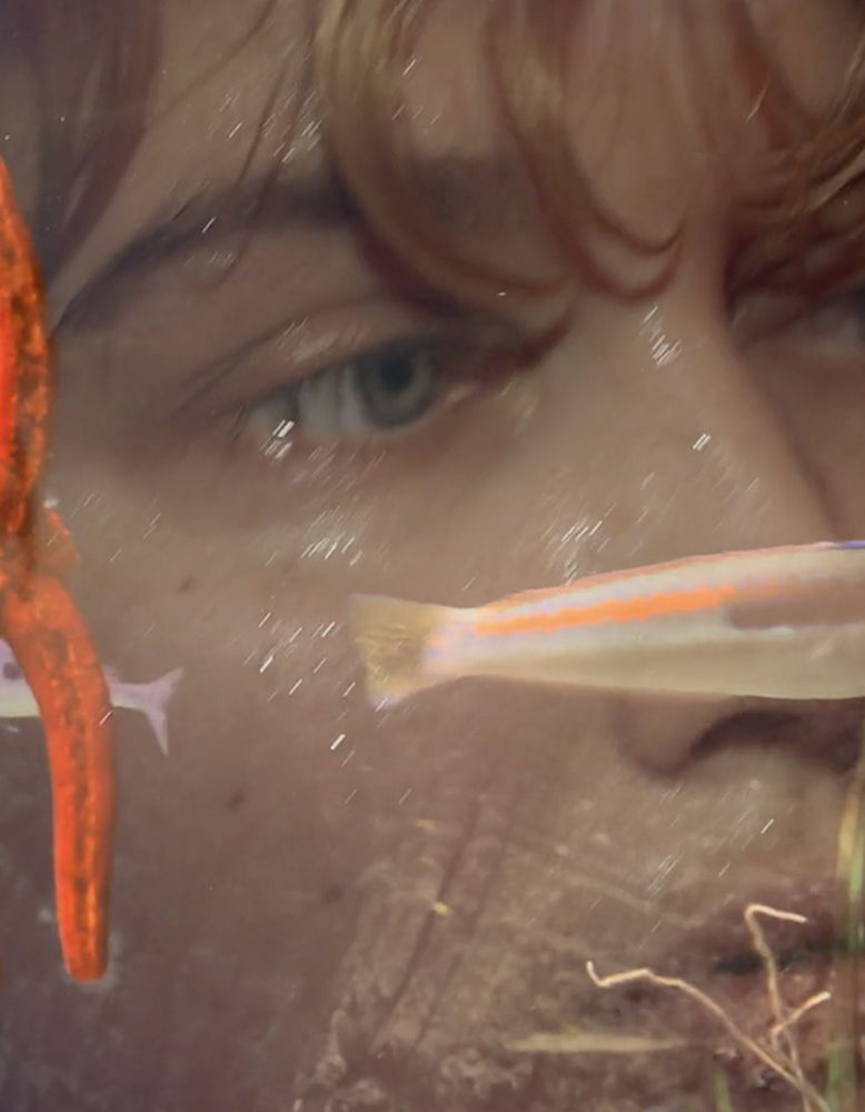 River of Rebirth: Laure Prouvost, Four for See Beauties, 2022.