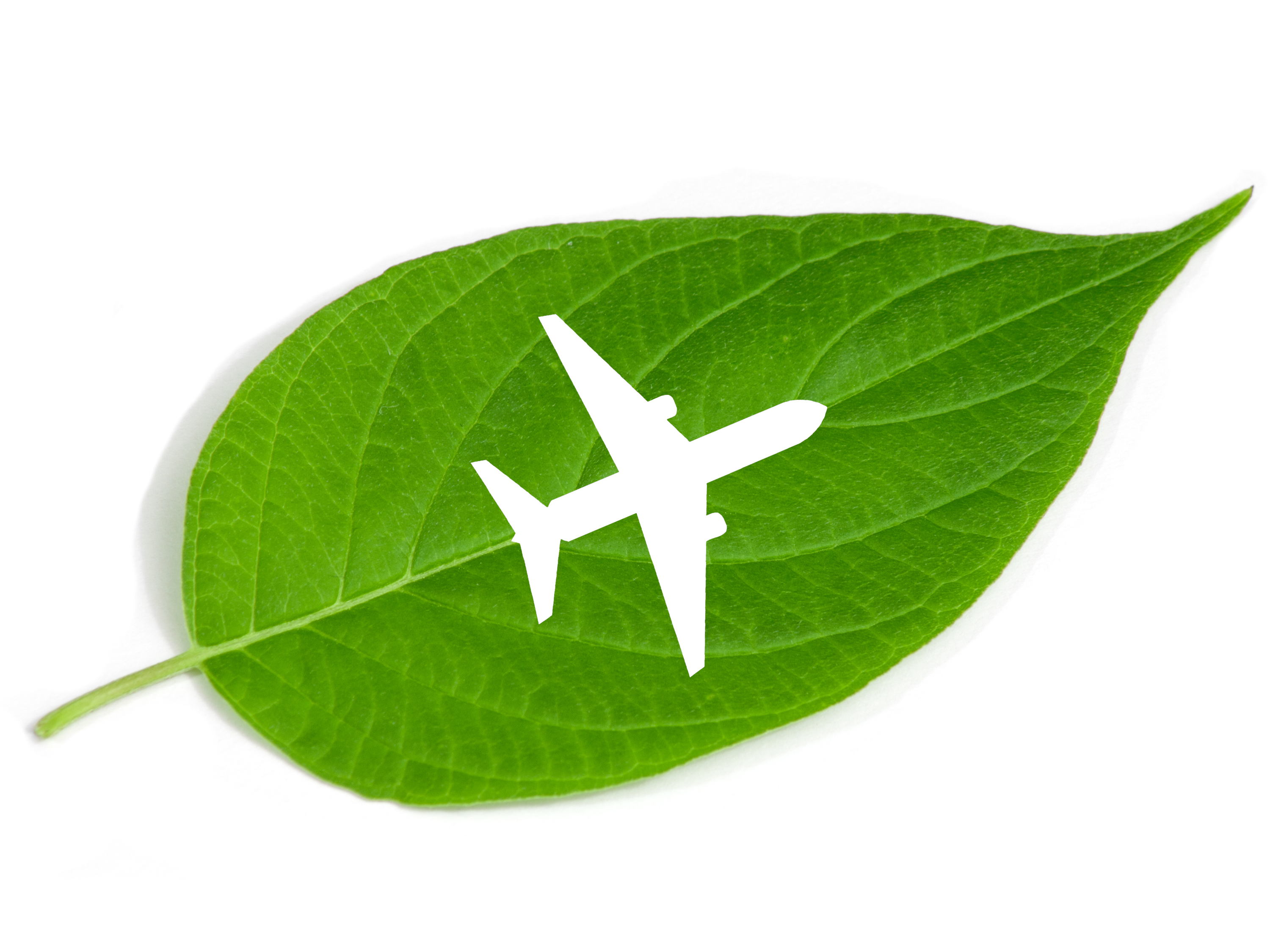 Des partenaires de Brussels Airport renforcent leur coopération environnementale