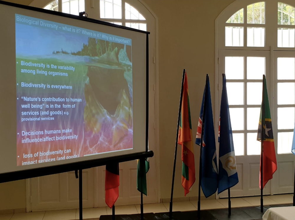 6ème Conseil des Ministres de l’Environnement de l’OECS en Martinique.