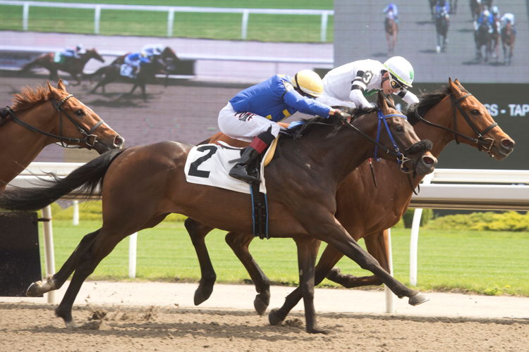 Rapid Test at Woodbine (Michael Burns Photo)