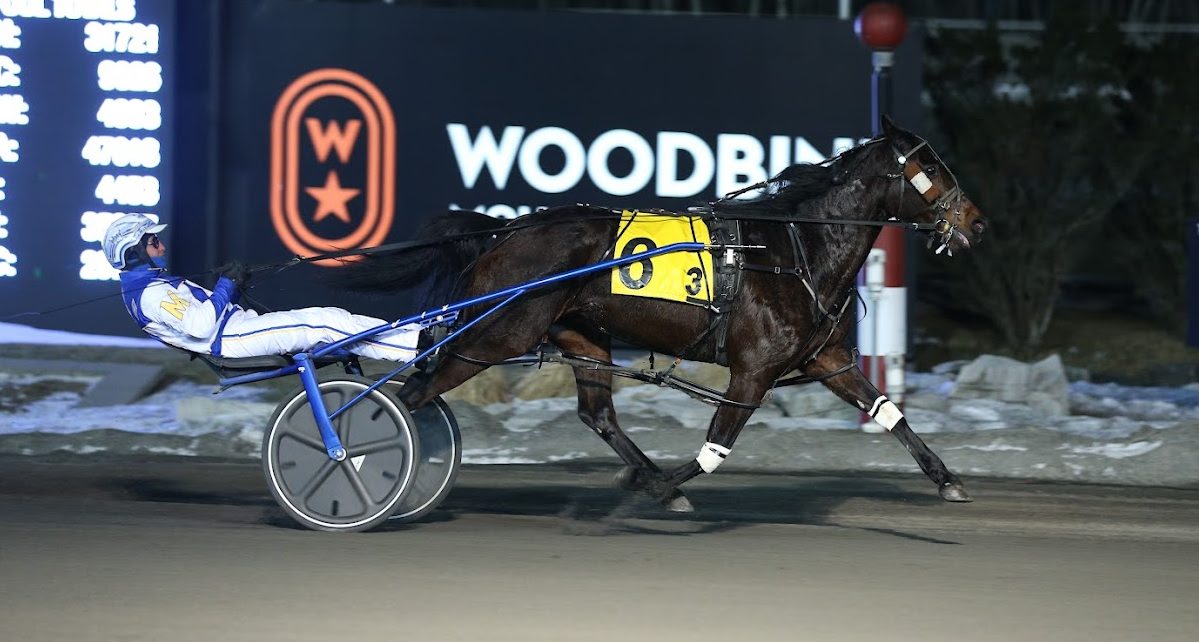 So Much More notching her third consecutive Preferred victory at Woodbine Mohawk Park on March 4, 2022. (New Image Media)