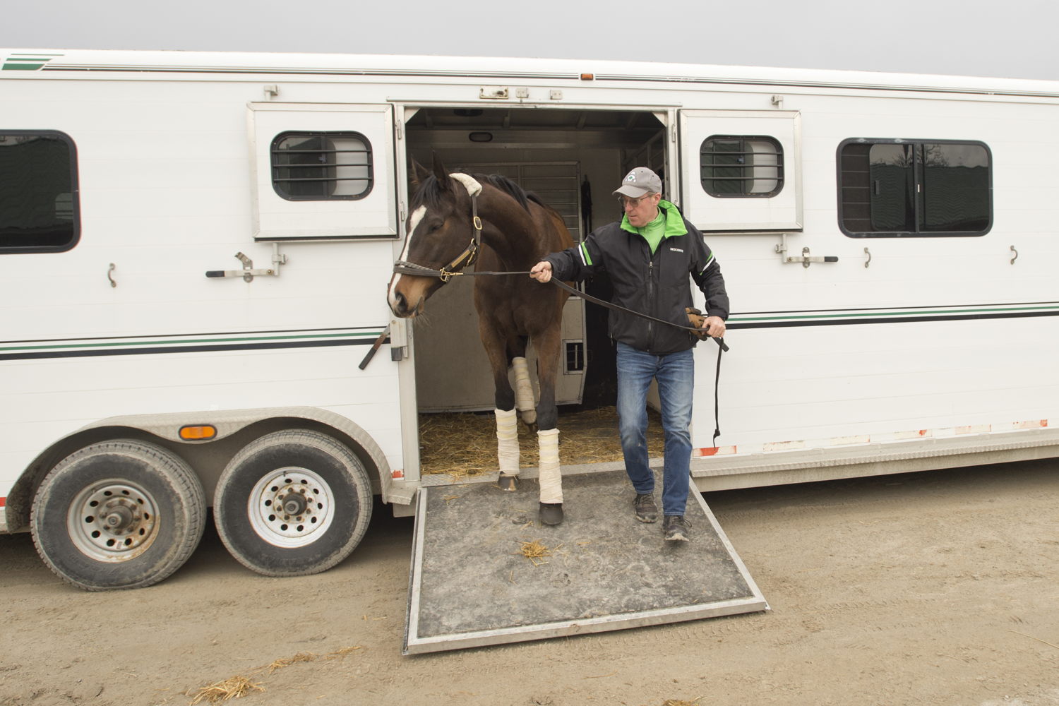 Millie Girl arrives at Woodbine Racetrack with Todd Phillips (Michael Burns Photo)