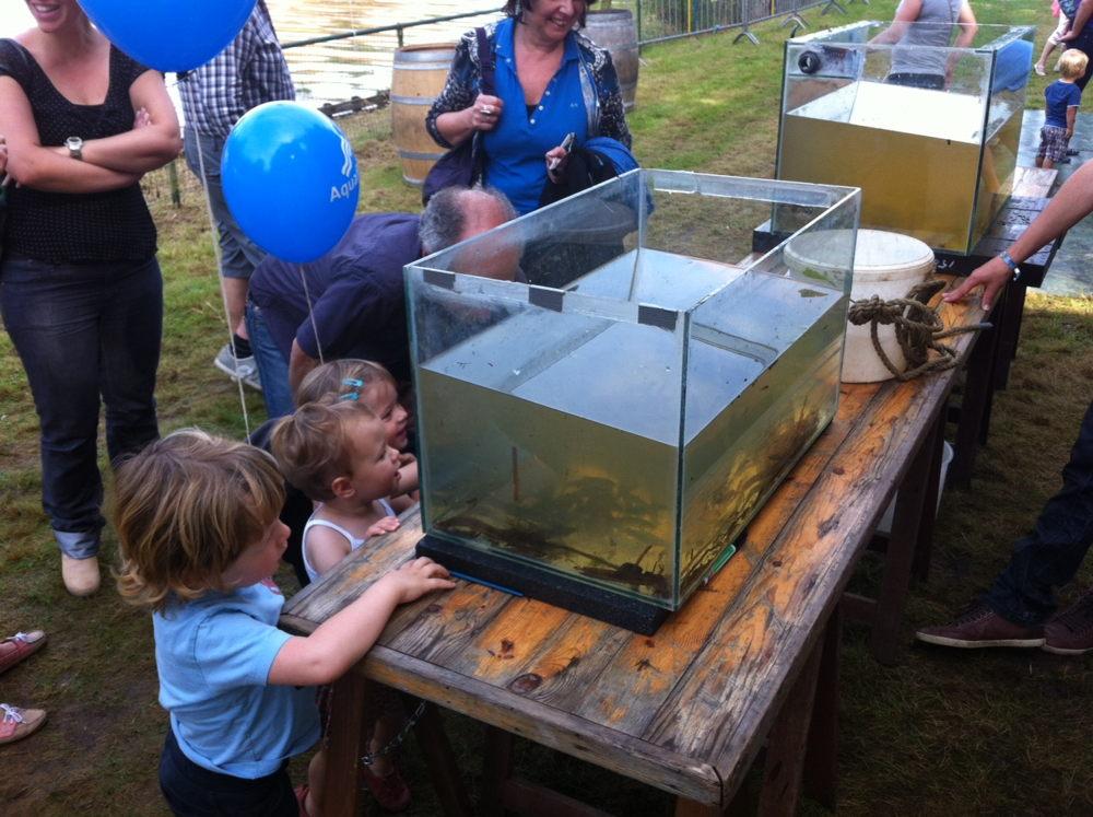 De aquaria met vissen uit de Kleine Nete trokken veel kijklustigen.