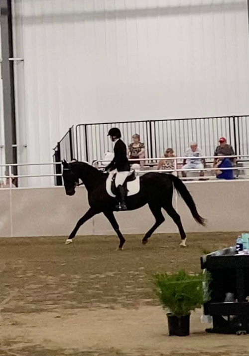 Olivia and Arthur at Ontario Horse Show Classic 2022