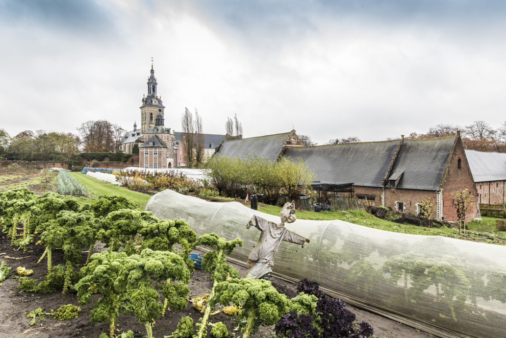 Stad roept op om te kiezen voor korte keten