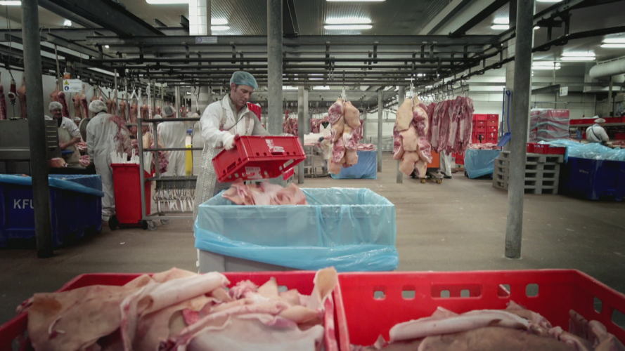 De weg van een snoepje
Over eten (c) VRT