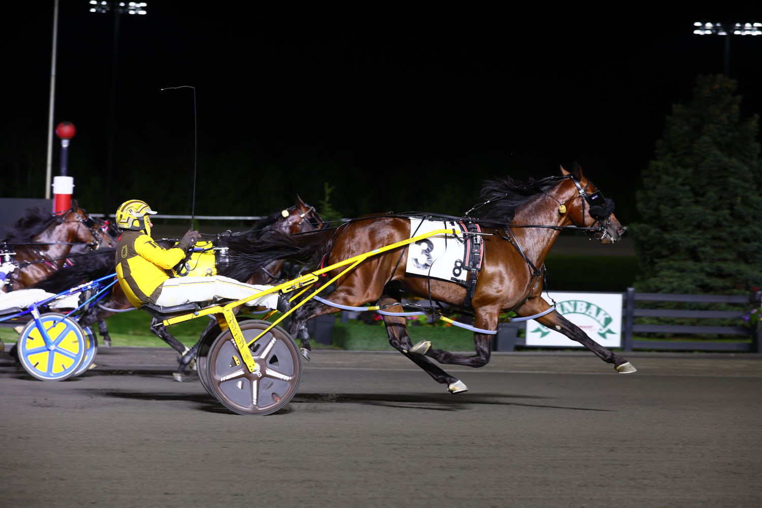  Bourbon County and driver Trevor Henry winning the  Somebeachsomewhere (Division 2) (Grade 3) on May 31, 2025 at Woodbine Mohawk Park (New Image Media)
