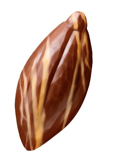 Pulp 'n Choc Milk Chocolate Orange