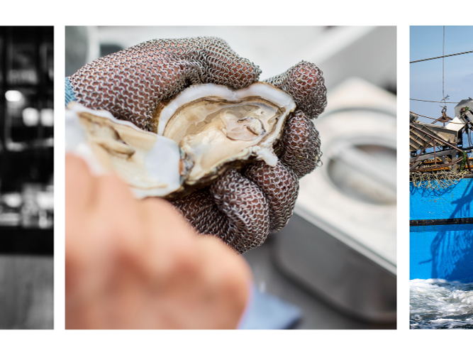 Persuitnodiging: Opening nieuwe seizoen Zeeuwse oesters 2023