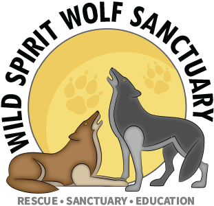 North America's Largest Wolf Sanctuary Launches National Campaign to Save Wolfdogs at Risk