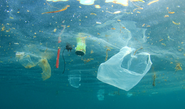 3 op 4 Belgen is ervan overtuigd dat microplastics schadelijk voor hen zijn