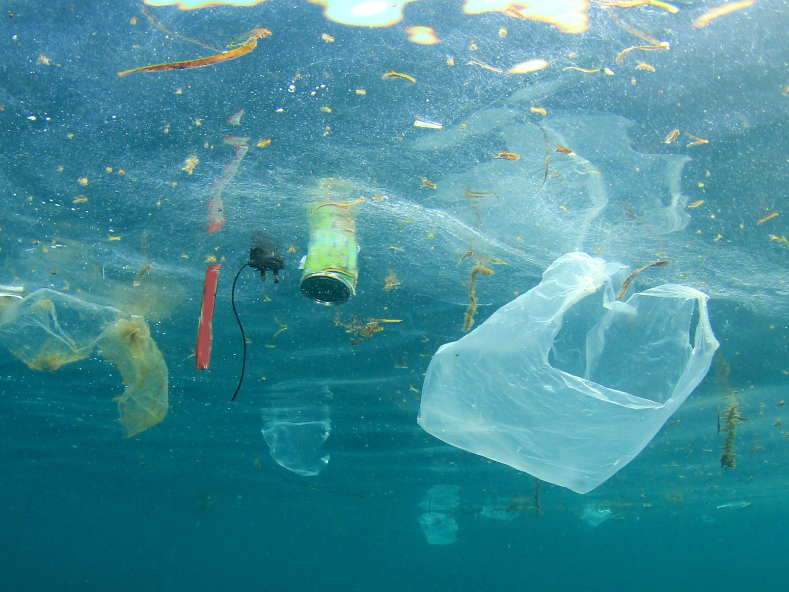 3 in 4 Belgians are convinced that microplastics are harmful for them