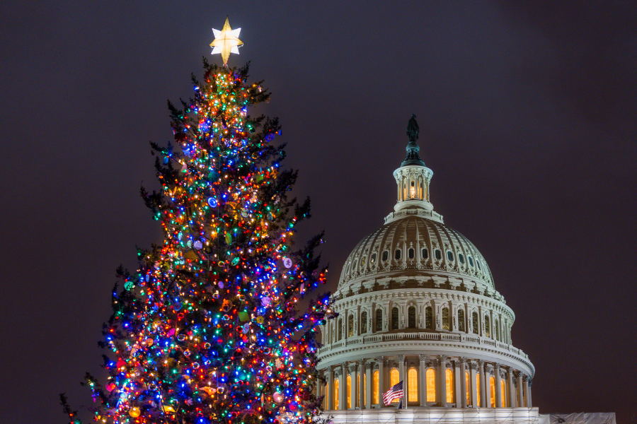 Capitol Christmas Tree, Washington D.C