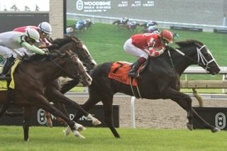 Philip My Dear and jockey Kazushi Kimura winning the Soaring Free Stakes Saturday at Woodbine. (Michael Burns Photo)