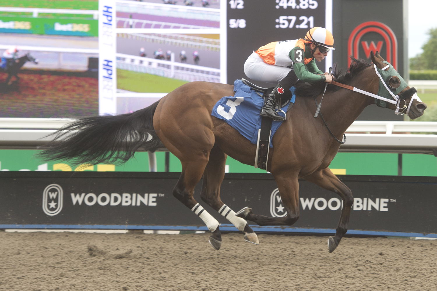 Reload's Rascal and jockey Emma-Jayne Wilson winning Race 8 on June 30, 2024 (Michael Burns Photo)