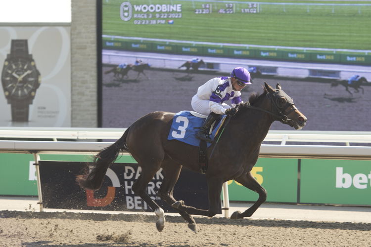 Uphill Dance and jockey Emma-Jayne Wilson winning Race 3 on September 22, 2023 at Woodbine (Michael Burns Photo)