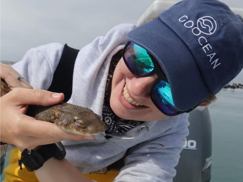 projets de monitoring des requins