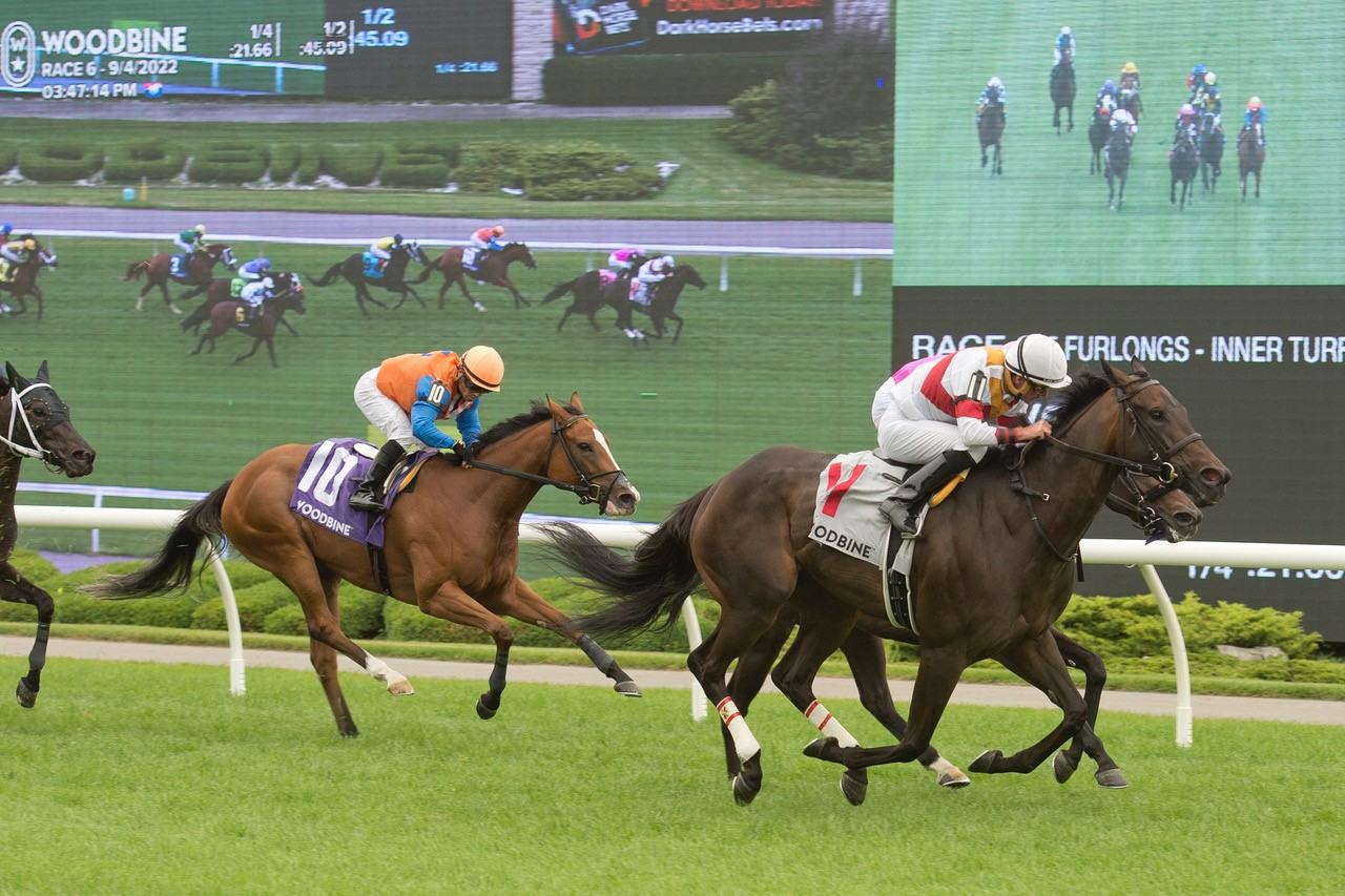 Lorena and jockey Gary Boulanger winning the Zadracarta Stakes, Sunday at Woodbine. (Michael Burns Photo) 