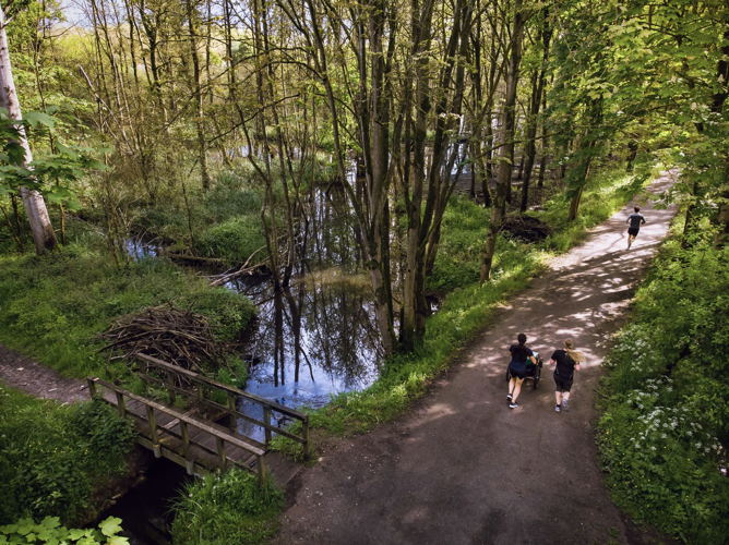 Egenhovenbos