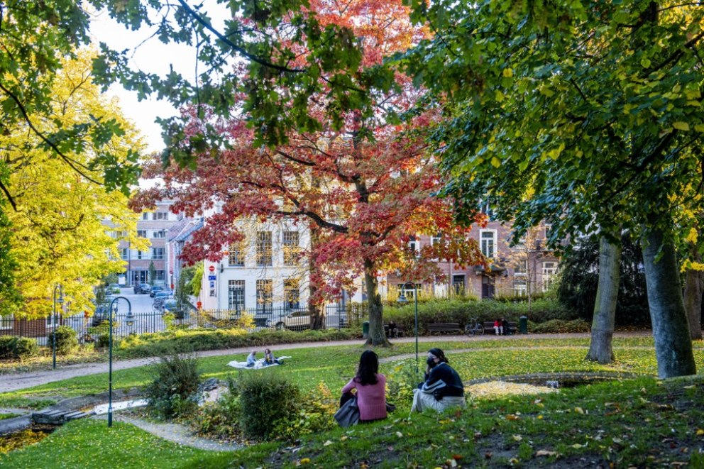 Leuven lanceert plan ‘veilig genieten van het publiek domein’