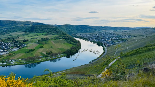 Wochenende an der Mosel