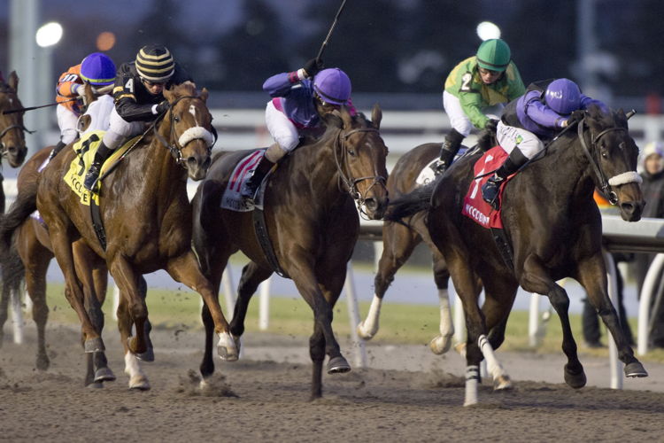Secret Reserve and jockey Leo Salles winning the Steady Growth Stakes on December 10, 2023 at Woodbine (Michael Burns Photo)