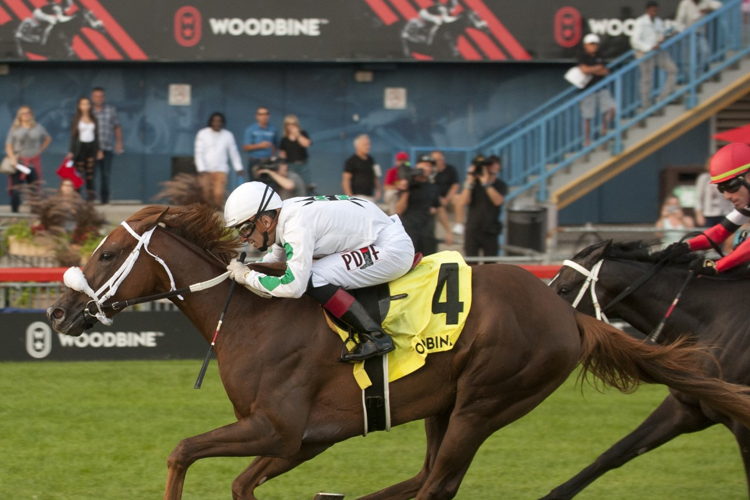 Last Call and jockey Rafael Hernandez winning the Johnnie Walker Natalma Stakes on Saturday at Woodbine (Michael Burns Photo)