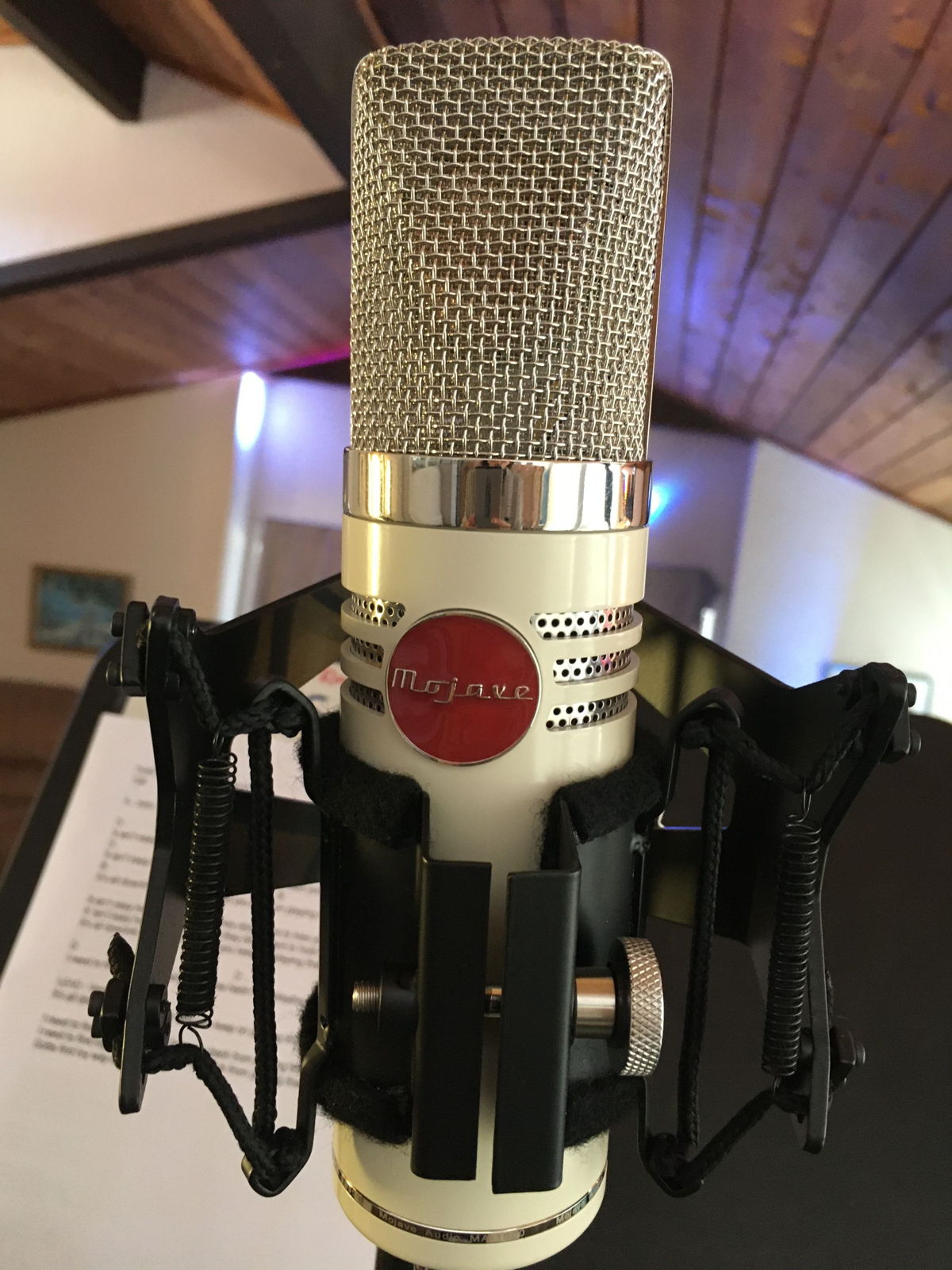 “I’ve loved Mojave microphones for a long time because of how dynamic and detailed they are, and in this case using them lets us express a lot without needing a lot of volume.” - Doug Pettibone