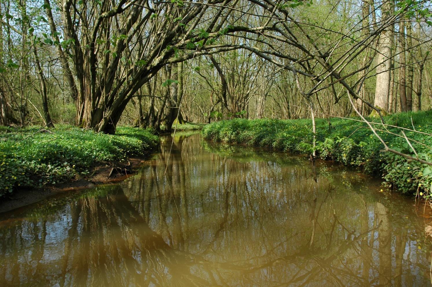 Topnatuur vlakbij recreatieve paden Topnatuur vlakbij recreatieve paden