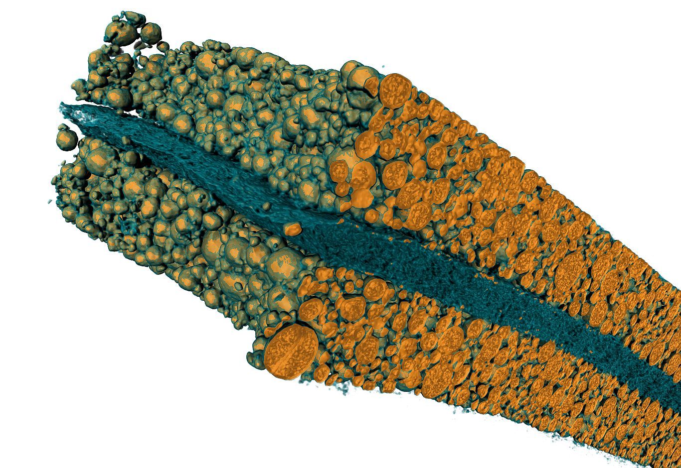 Scan of a small part of a Li-Ion cell cathode (0.3 mm x 1 mm x 0.15 mm).